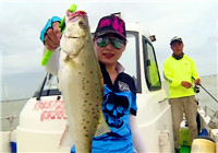 《藍旗魚小汐路亞視頻》 大風渾水戰風車 CiCi獵海鱸(上)