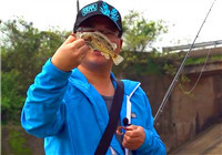 《藍旗魚小汐路亞視頻》小汐湖南醴陵攔水壩下探釣斑鱖魚