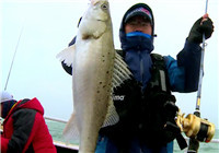 《藍旗魚小汐路亞視頻》 浙江東海嵊山海礁釣鱸魚