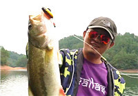 《藍旗魚小汐路亞視頻》 水庫巡邊快搜之鱸魚賭約
