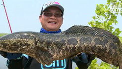 《藍旗魚小汐路亞視頻》2015路亞賀新春