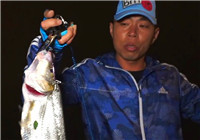 《藍旗魚小汐路亞視頻》蚌埠淡水湖夜襲搜翹嘴