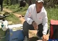 《張雪平釣魚視頻》第15集 釣魚如何開餌技巧