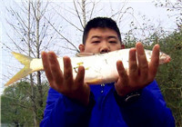 《我的7日江湖》第二季06期 老鬼隊困難重重 沒有食物饑餓難耐（上）
