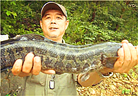 《我的7日江湖》第8期 老鬼隊再上黑魚，寶飛龍隊有人受傷（上）