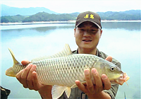 《我的7日江湖》第9期 連日矛盾積累，兩隊內發生爭吵（上）