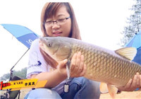 《我的7日江湖》第10期 寶飛龍隊女釣手意外中獲大草魚（下）