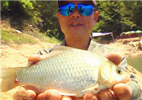《我的7日江湖》第4期 糧食短缺成難題 三支戰隊求大魚（上）
