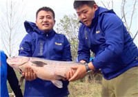 《我的7日江湖》第二季06期 萬峰湖轉晴 寶飛龍隊擒獲巨青（下）