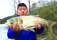 《我的7日江湖》第二季08期 寶飛龍隊清晨擒獲大鰱鳙振奮士氣（上）