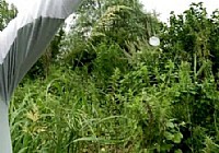 《釣大魚不是夢》王桂龍哈爾濱濕地勇擒巨鯉巨草