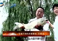 《釣大魚不是夢》王桂龍手竿釣獲20斤大草魚