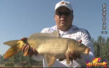 《釣點大對決》第26集 對決河北三河視頻(四)