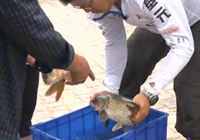 《釣點大對決》第16集 對決巴圖灣水庫(三)