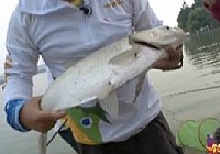 《釣點大對決》第5集 對決肥西水庫(二)