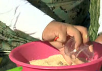 《釣點大對決》第13集 對決達林臺水庫