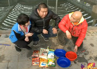 《釣點大對決》第37集 對決馬坡綠茵垂釣園