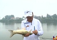 《釣點大對決》第8集 對決湖北菁禾漁場