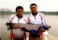 《釣技百事通》 2015 第22集 地瓜老師實戰釣獲大青魚