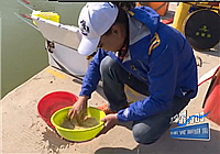 《釣賽進行時》 早春第一賽，精細線組釣小魚