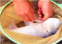 《釣賽進行時》2017無錫漁具展杯千人店長釣魚大賽（下）