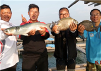 《筏釣江湖》 第17集 北海探釣擒獲巨物