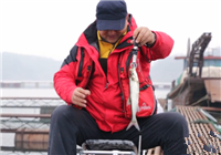 《筏釣江湖》 第14期 丹江口水庫探翹之旅