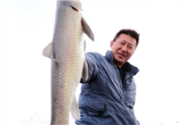 《筏釣江湖》 第5期 三合水庫釣獲青魚