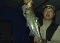 《筏釣江湖》第三季第55期：探釣云鵬電站