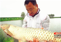 《鉤尖江湖》第59期 小崔堅守水庫終會擒獲大草魚