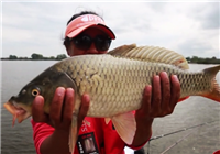 《鉤尖江湖》第9集 南島湖作釣鯉魚連竿收獲多