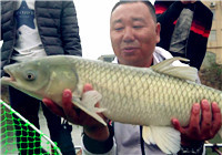 《鉤尖江湖》釣魚的故事04 這是到現在為止唯一的一條魚