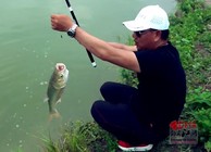 《鉤尖江湖》第三季 第9集 崔哥石門釣黑坑 向家釣場遇難題