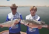 《海釣玩家》第41集 埃及尋魚記（三）尼羅河擒巨物