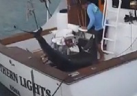 《海釣玩家》第53集 HIBT夏威夷國際海釣大賽（下）