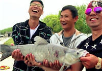 《黑坑江湖》第六季01集 初春釣烏青，體驗上海大物塘