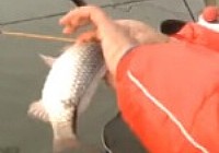 《黑坑江湖》第一季 第6集 御林垂釣園