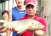 《黑坑江湖》第5季05集 鯽瓜大連征戰坑冠入圍賽