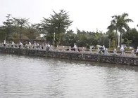 《去釣魚》第38集 珠海平沙鎮百人釣魚公開賽