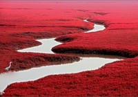 《去釣魚》第59集 遼寧盤錦打造旅游垂釣之都