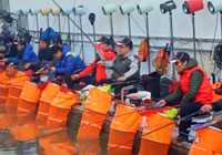 《去釣魚》第100集 坑冠爭霸群英會總決賽火熱開賽