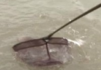 《去釣魚》第32集 北京和諧杯社區釣魚比賽