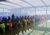 《去釣魚》第95集 北京市釣協會員釣魚比賽