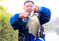 《我的家鄉有大魚》20170111 突逢攪魚，牟平隊無奈改變計劃（下）