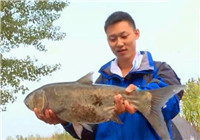 《我的家鄉有大魚》20170117 諸城之戰 五名釣友全力以赴釣大魚（下）
