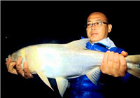 《我的家鄉有大魚》20160203 意外跑魚，長治隊庫釣陷困境（下）