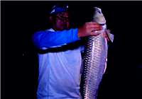 《我的家鄉有大魚》20170114 寧夏銀川隊濕地公園搏大草（下）