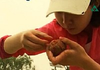 《星動四海》四海釣魚頻道之 第4集