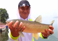 《野釣江湖》第10集 釣友相約萬佛湖開展釣魚比賽