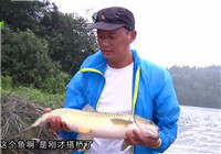 《野釣江湖》第9集 夏季萬佛湖探釣釣獲大草魚
